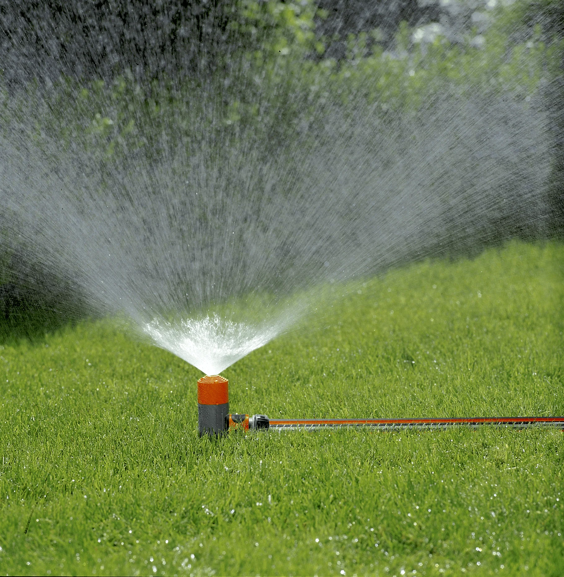 drip irrigation